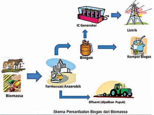 biomassa menjadi biogas