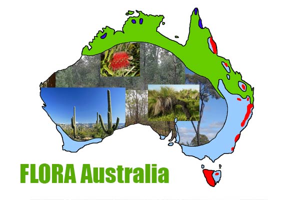 Flora (Tanaman) Khas Australia