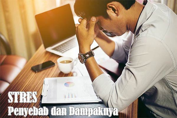 Pengertian Stres, Penyebab dan Dampaknya