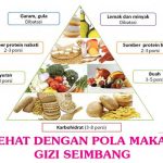 Hidup Sehat Dengan Prinsip Dasar Gizi Seimbang