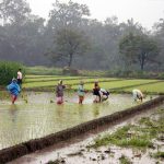 Pemberdayaan Petani dan Pemenuhan Haknya