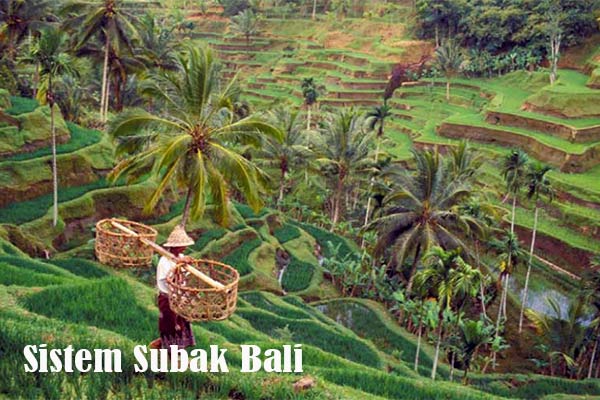 Sistem Pengairan Subak Bali