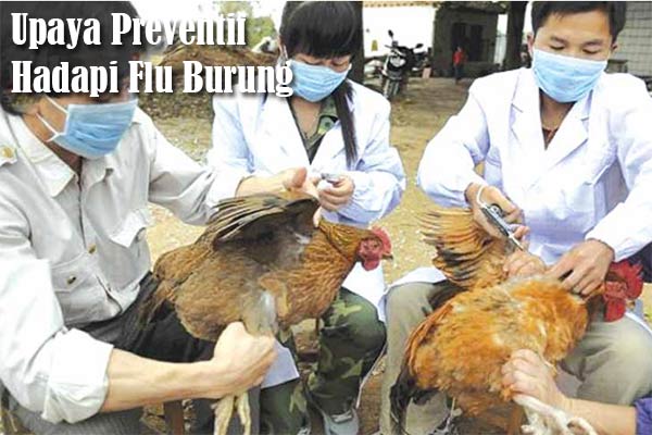 Upaya Preventif Hadapi Flu Burung