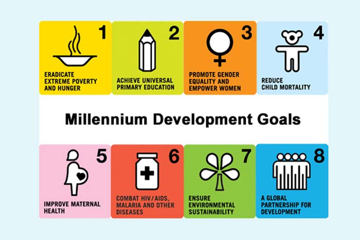 Millennium Development Goal