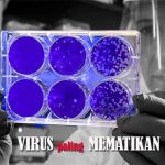 4 Virus Mematikan Yang Pernah Terjadi Di Dunia