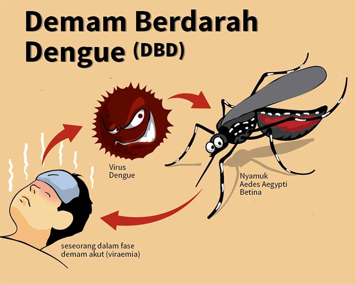 Fakta Penting Tentang Demam Berdarah