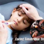 Benarkah Cacing Tanah Obat Tifus Ampuh?