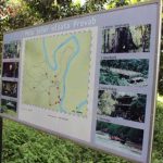 Taman Nasional Kutai Prevab Kalimantan Timur