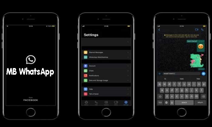 Fitur-fitur MB WhatsApp