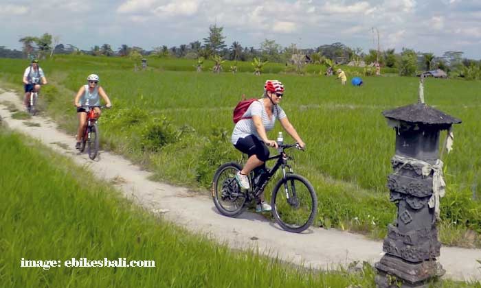 Tour Sepeda Bali