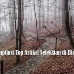 Kompilasi Top Artikel Seleksian di Blog