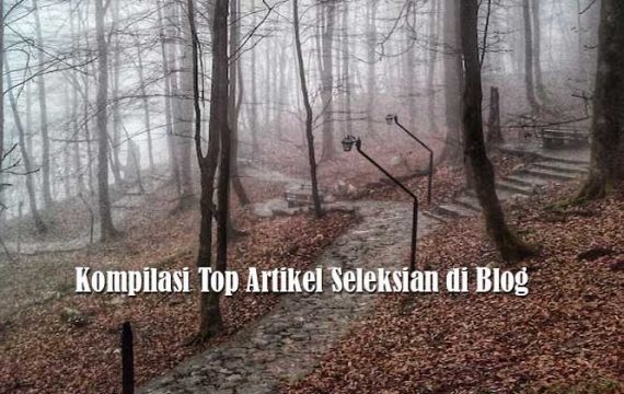 Kompilasi Top Artikel Seleksian di Blog