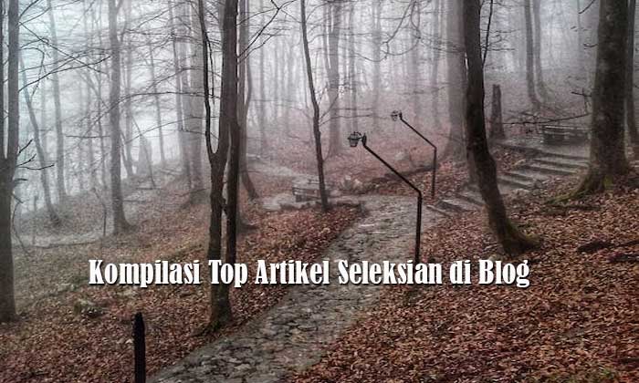 Kompilasi Top Artikel Seleksian di Blog