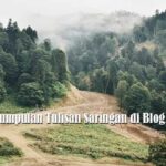 Kumpulan Tulisan Saringan di Blog