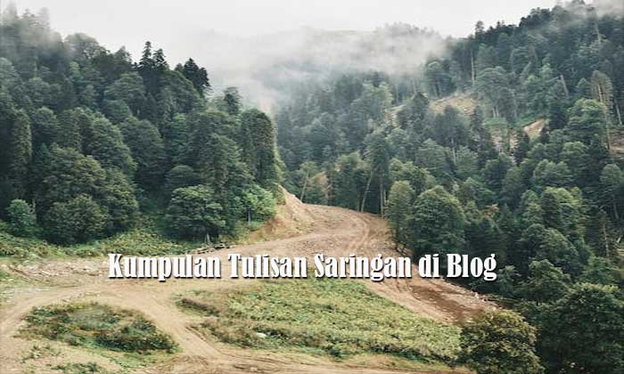 Kumpulan Tulisan Saringan di Blog