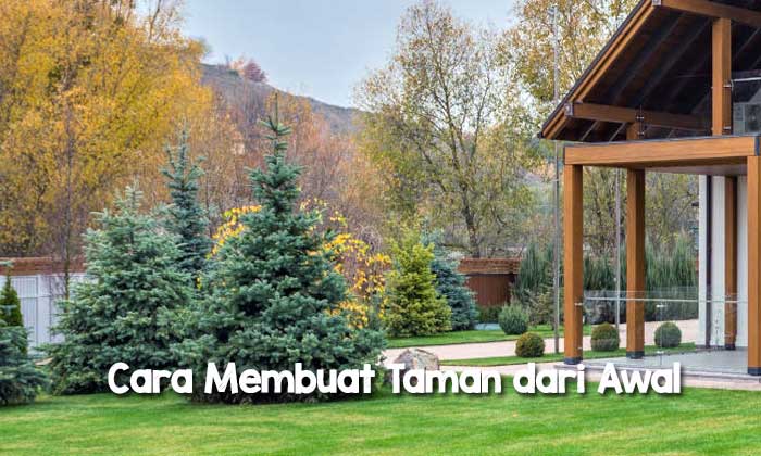 Cara Membuat Taman Indah dari Awal