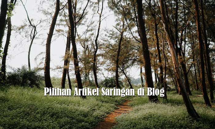 Pilihan Artikel Saringan di Blog