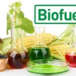 Keunggulan dan Kekurangan Bahan Bakar Biofuel