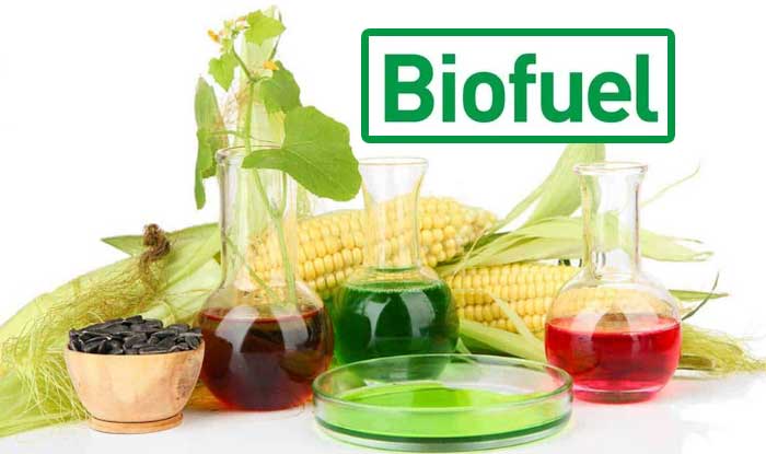 Keunggulan dan Kekurangan Bahan Bakar Biofuel