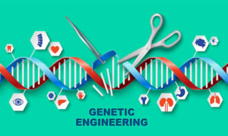Rekayasa Jaringan Medis